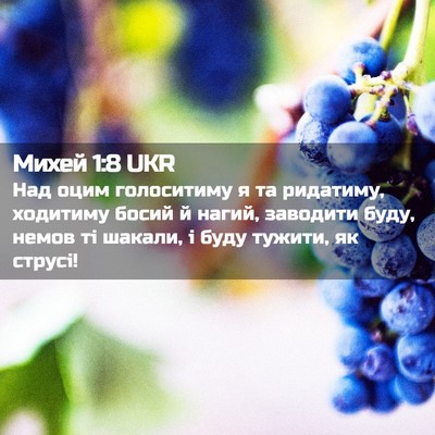 Picture 02 - Михей 1:8 UKR - Над оцим голоситиму я та - Bible Verse Picture