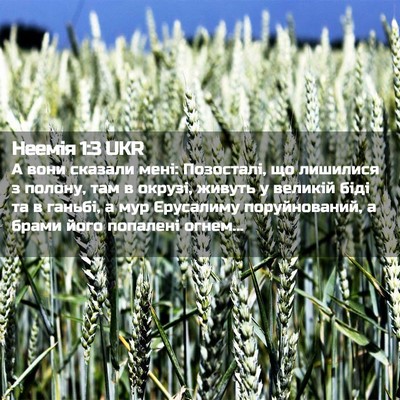 Picture 02 - Неемія 1:3 UKR - А вони сказали мені: - Bible Verse Picture