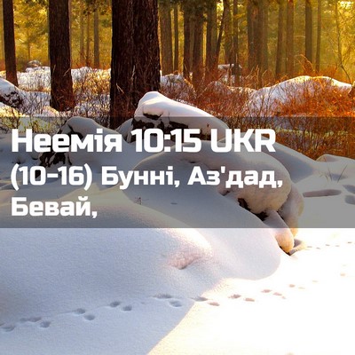 Picture 02 - Неемія 10:15 UKR - (10-16) Бунні, Аз'дад, - Bible Verse Picture