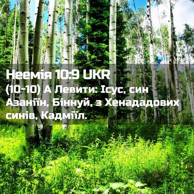 Picture 02 - Неемія 10:9 UKR - (10-10) А Левити: Ісус, син - Bible Verse Picture