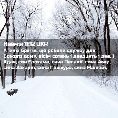 Picture 02 - Неемія 11:12 UKR - А їхніх братів, що робили - Bible Verse Picture
