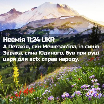 Picture 02 - Неемія 11:24 UKR - А Петахія, син Мешезав'їла, - Bible Verse Picture