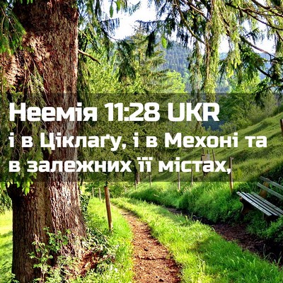 Picture 02 - Неемія 11:28 UKR - і в Ціклаґу, і в Мехоні та в - Bible Verse Picture