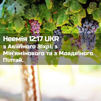 Picture 02 - Неемія 12:17 UKR - з Авійїного Зіхрі, з - Bible Verse Picture