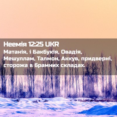Picture 02 - Неемія 12:25 UKR - Матанія, і Бакбукія, - Bible Verse Picture