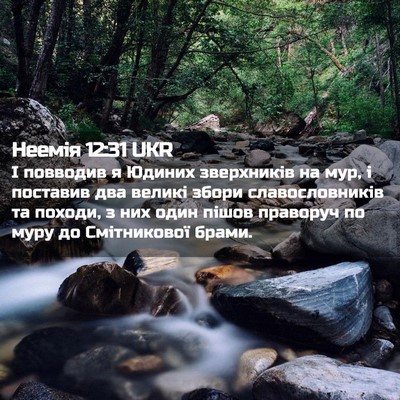 Picture 02 - Неемія 12:31 UKR - І повводив я Юдиних - Bible Verse Picture