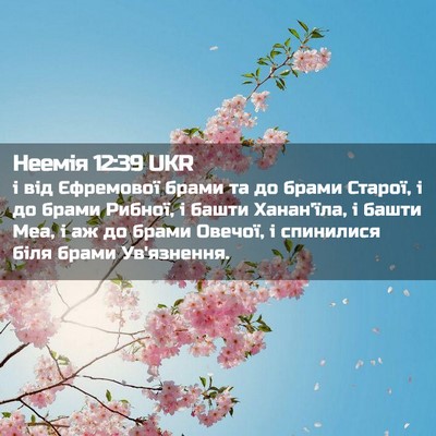 Picture 02 - Неемія 12:39 UKR - і від Єфремової брами та до - Bible Verse Picture