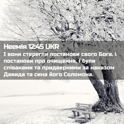 Picture 02 - Неемія 12:45 UKR - І вони стерегли постанови - Bible Verse Picture