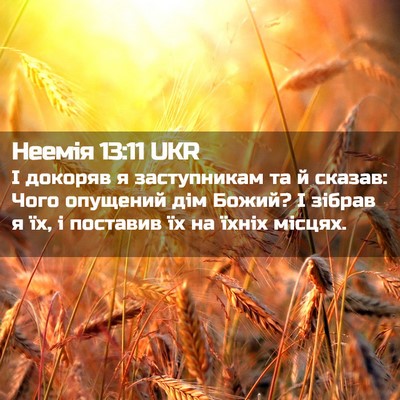 Picture 02 - Неемія 13:11 UKR - І докоряв я заступникам та - Bible Verse Picture