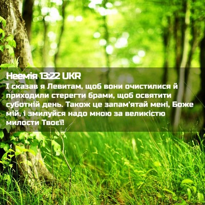 Picture 02 - Неемія 13:22 UKR - І сказав я Левитам, щоб - Bible Verse Picture