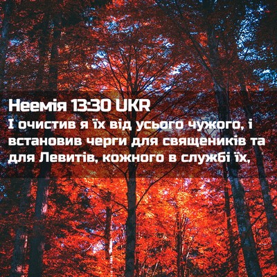 Picture 02 - Неемія 13:30 UKR - І очистив я їх від усього - Bible Verse Picture