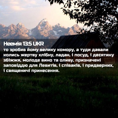 Picture 02 - Неемія 13:5 UKR - то зробив йому велику - Bible Verse Picture