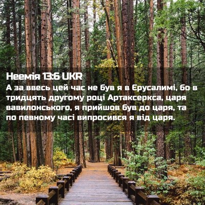 Picture 02 - Неемія 13:6 UKR - А за ввесь цей час не був я - Bible Verse Picture