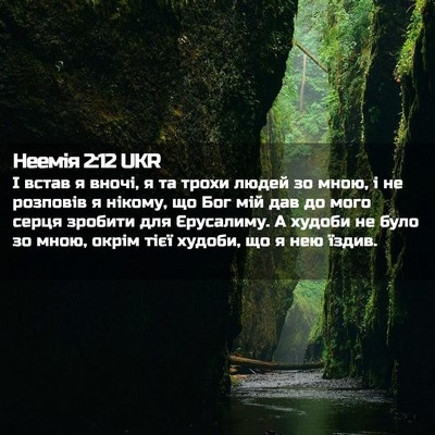 Picture 02 - Неемія 2:12 UKR - І встав я вночі, я та трохи - Bible Verse Picture