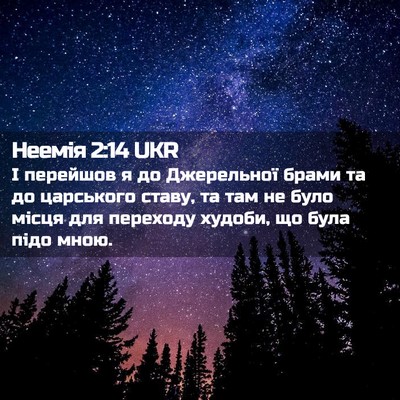 Picture 02 - Неемія 2:14 UKR - І перейшов я до Джерельної - Bible Verse Picture