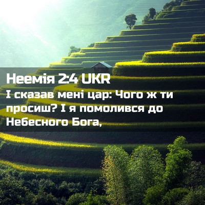 Picture 02 - Неемія 2:4 UKR - І сказав мені цар: Чого ж ти - Bible Verse Picture