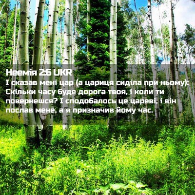 Picture 02 - Неемія 2:6 UKR - І сказав мені цар (а цариця - Bible Verse Picture