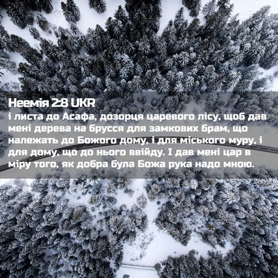 Picture 02 - Неемія 2:8 UKR - і листа до Асафа, дозорця - Bible Verse Picture