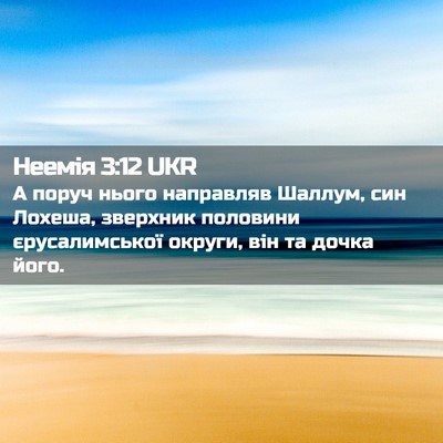 Picture 02 - Неемія 3:12 UKR - А поруч нього направляв - Bible Verse Picture