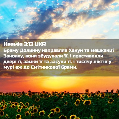 Picture 02 - Неемія 3:13 UKR - Браму Долинну направляв - Bible Verse Picture