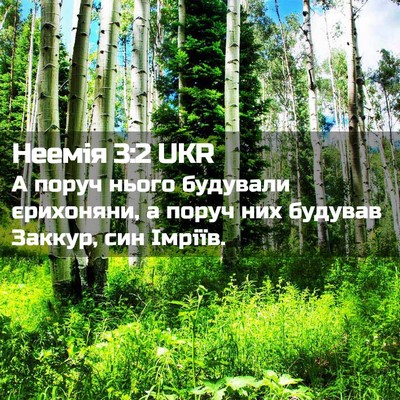 Picture 02 - Неемія 3:2 UKR - А поруч нього будували - Bible Verse Picture