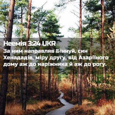 Picture 02 - Неемія 3:24 UKR - За ним направляв Біннуй, - Bible Verse Picture