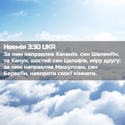 Picture 02 - Неемія 3:30 UKR - За ним направляв Хананія, - Bible Verse Picture