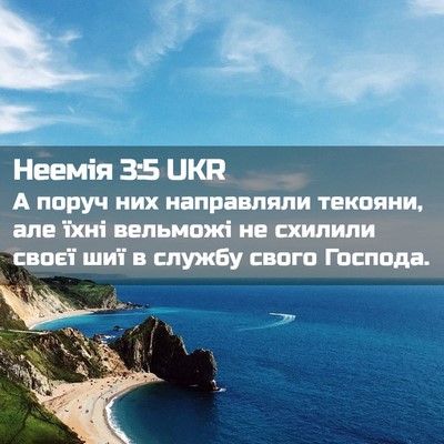 Picture 02 - Неемія 3:5 UKR - А поруч них направляли - Bible Verse Picture