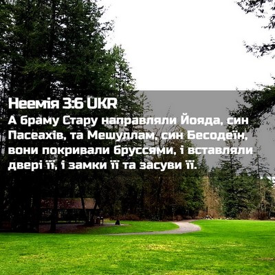 Picture 02 - Неемія 3:6 UKR - А браму Стару направляли - Bible Verse Picture