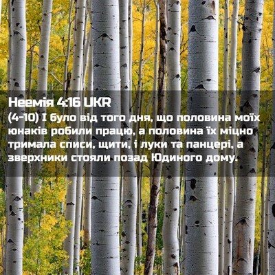 Picture 02 - Неемія 4:16 UKR - (4-10) І було від того дня, що - Bible Verse Picture