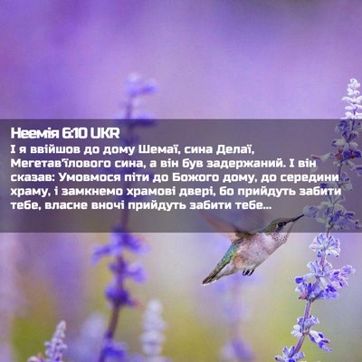Picture 02 - Неемія 6:10 UKR - І я ввійшов до дому Шемаї, - Bible Verse Picture