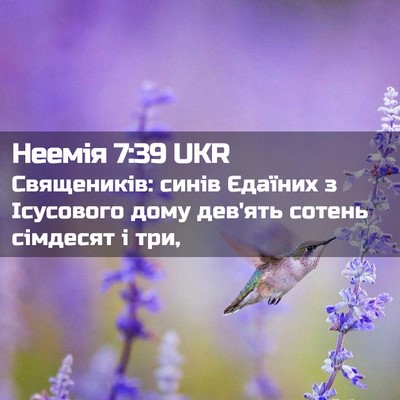 Picture 02 - Неемія 7:39 UKR - Священиків: синів Єдаїних - Bible Verse Picture
