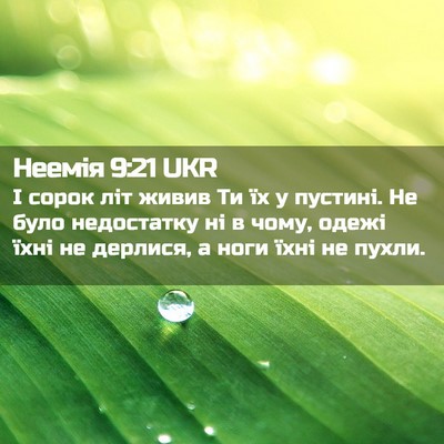 Picture 02 - Неемія 9:21 UKR - І сорок літ живив Ти їх у - Bible Verse Picture