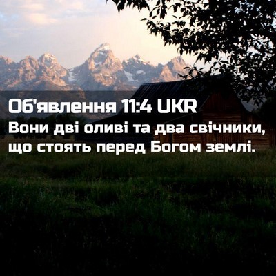 Picture 02 - Об'явлення 11:4 UKR - Вони дві оливі та два - Bible Verse Picture