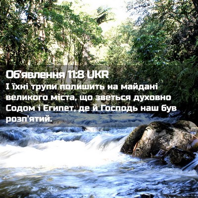 Picture 02 - Об'явлення 11:8 UKR - І їхні трупи полишить на - Bible Verse Picture