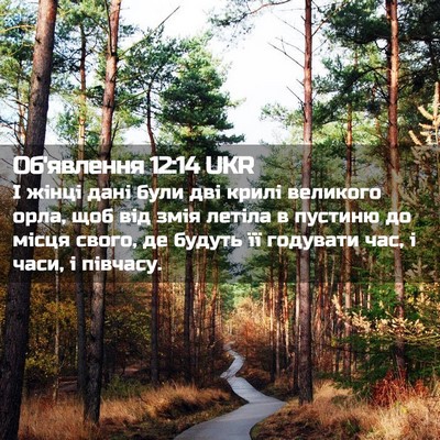 Picture 02 - Об'явлення 12:14 UKR - І жінці дані були дві крилі - Bible Verse Picture