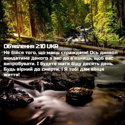 Picture 02 - Об'явлення 2:10 UKR - Не бійся того, що маєш - Bible Verse Picture