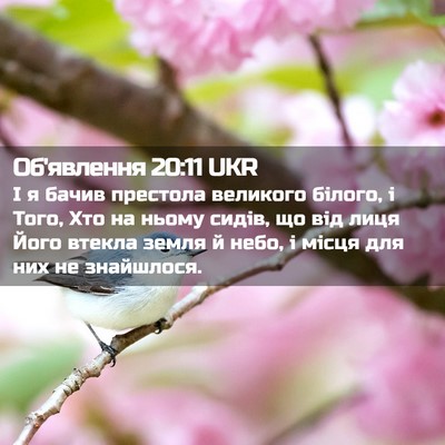 Picture 02 - Об'явлення 20:11 UKR - І я бачив престола - Bible Verse Picture