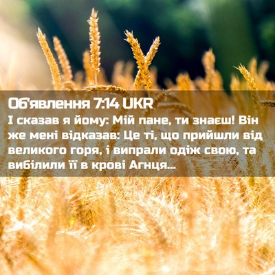 Picture 02 - Об'явлення 7:14 UKR - І сказав я йому: Мій пане, - Bible Verse Picture