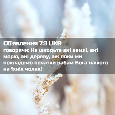 Picture 02 - Об'явлення 7:3 UKR - говорячи: Не шкодьте ані - Bible Verse Picture