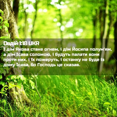 Picture 02 - Овдій 1:18 UKR - І дім Якова стане огнем, і - Bible Verse Picture
