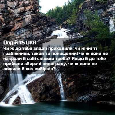 Picture 02 - Овдій 1:5 UKR - Чи ж до тебе злодії - Bible Verse Picture