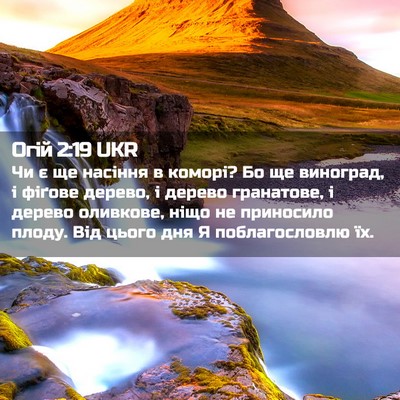 Picture 02 - Огій 2:19 UKR - Чи є ще насіння в коморі? Бо - Bible Verse Picture