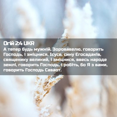 Picture 02 - Огій 2:4 UKR - А тепер будь мужній, - Bible Verse Picture