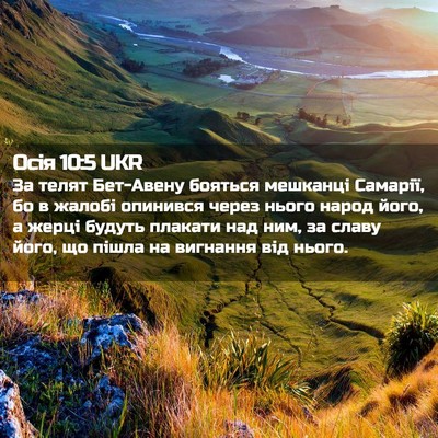 Picture 02 - Осія 10:5 UKR - За телят Бет-Авену бояться - Bible Verse Picture