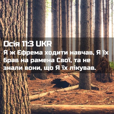 Picture 02 - Осія 11:3 UKR - Я ж Єфрема ходити навчав, Я - Bible Verse Picture