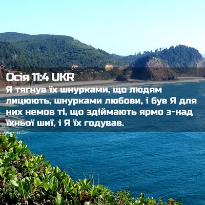 Picture 02 - Осія 11:4 UKR - Я тягнув їх шнурками, що - Bible Verse Picture