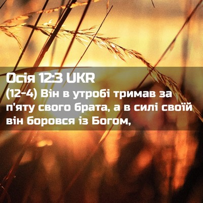 Picture 02 - Осія 12:3 UKR - (12-4) Він в утробі тримав за - Bible Verse Picture