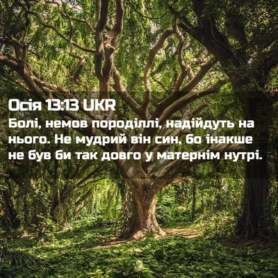 Picture 02 - Осія 13:13 UKR - Болі, немов породіллі, - Bible Verse Picture