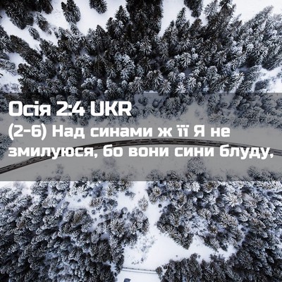 Picture 02 - Осія 2:4 UKR - (2-6) Над синами ж її Я не - Bible Verse Picture